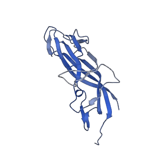 8970_6e2x_Ae_v2-1
Mechanism of cellular recognition by PCV2