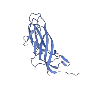 8970_6e2x_Ai_v2-1
Mechanism of cellular recognition by PCV2