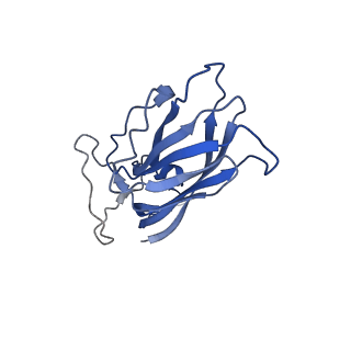 8970_6e2x_Aj_v2-1
Mechanism of cellular recognition by PCV2