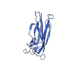 8970_6e2x_Am_v2-1
Mechanism of cellular recognition by PCV2