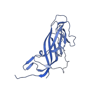 8970_6e2x_An_v2-1
Mechanism of cellular recognition by PCV2