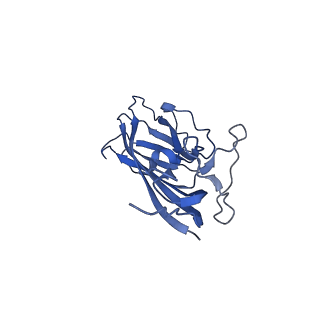 8970_6e2x_Ao_v2-1
Mechanism of cellular recognition by PCV2