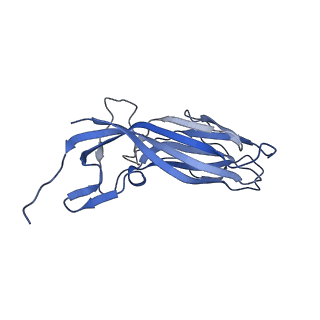 8970_6e2x_Ap_v2-1
Mechanism of cellular recognition by PCV2