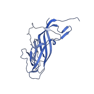 8970_6e2x_As_v2-1
Mechanism of cellular recognition by PCV2