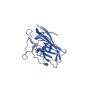 8970_6e2x_At_v2-1
Mechanism of cellular recognition by PCV2