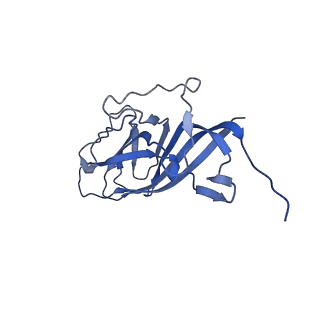 8970_6e2x_Av_v2-1
Mechanism of cellular recognition by PCV2