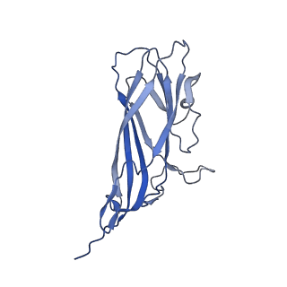 8971_6e2z_A1_v2-1
Mechanism of cellular recognition by PCV2