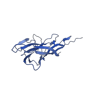 8971_6e2z_A3_v2-1
Mechanism of cellular recognition by PCV2