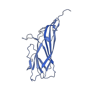 8971_6e2z_A6_v2-1
Mechanism of cellular recognition by PCV2