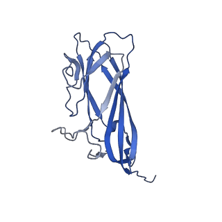 8971_6e2z_AB_v2-1
Mechanism of cellular recognition by PCV2