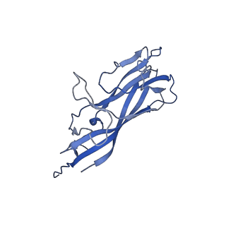 8971_6e2z_AC_v2-1
Mechanism of cellular recognition by PCV2