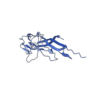 8971_6e2z_AI_v2-1
Mechanism of cellular recognition by PCV2