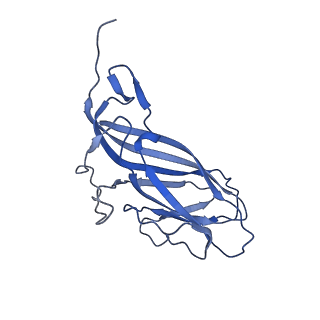 8971_6e2z_AN_v2-1
Mechanism of cellular recognition by PCV2