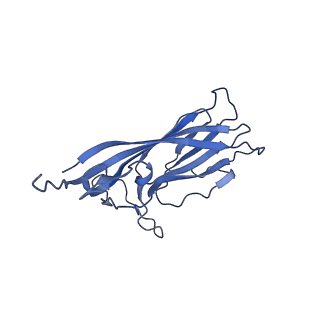 8971_6e2z_AO_v2-1
Mechanism of cellular recognition by PCV2