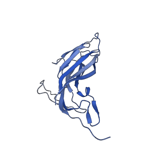 8971_6e2z_AR_v2-1
Mechanism of cellular recognition by PCV2