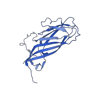 8971_6e2z_AS_v2-1
Mechanism of cellular recognition by PCV2