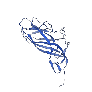 8971_6e2z_AX_v2-1
Mechanism of cellular recognition by PCV2