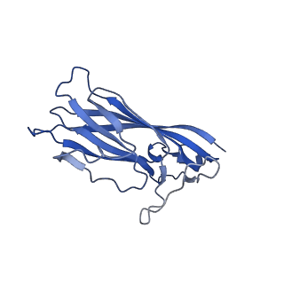 8971_6e2z_Ad_v2-1
Mechanism of cellular recognition by PCV2