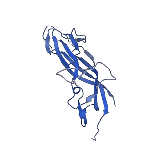 8971_6e2z_Ae_v2-1
Mechanism of cellular recognition by PCV2