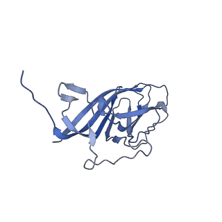 8971_6e2z_Ag_v2-1
Mechanism of cellular recognition by PCV2