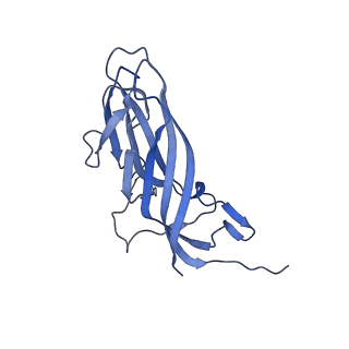 8971_6e2z_Ai_v2-1
Mechanism of cellular recognition by PCV2