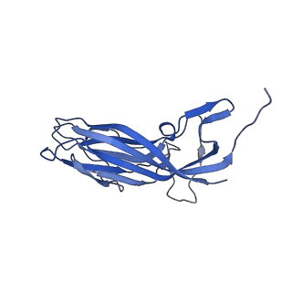 8971_6e2z_Ak_v2-1
Mechanism of cellular recognition by PCV2