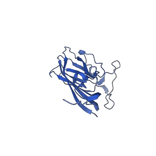 8971_6e2z_Ao_v2-1
Mechanism of cellular recognition by PCV2