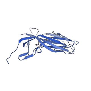 8971_6e2z_Ap_v2-1
Mechanism of cellular recognition by PCV2