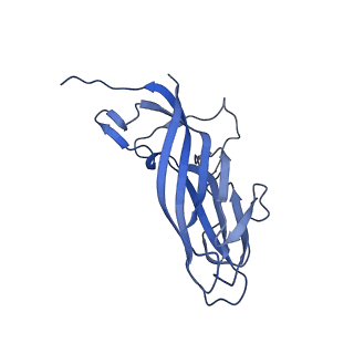 8971_6e2z_Ax_v2-1
Mechanism of cellular recognition by PCV2