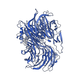27866_8e3i_A_v1-0
CRYO-EM STRUCTURE OF the human MPSF IN COMPLEX WITH THE AUUAAA poly(A) signal