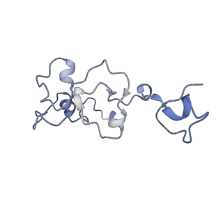 27866_8e3i_C_v1-0
CRYO-EM STRUCTURE OF the human MPSF IN COMPLEX WITH THE AUUAAA poly(A) signal