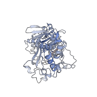27871_8e3s_A_v1-0
CryoEM structure of yeast Arginyltransferase 1 (ATE1)