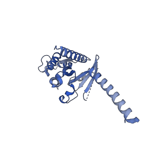 30974_7e32_A_v1-1
Serotonin 1D (5-HT1D) receptor-Gi protein complex