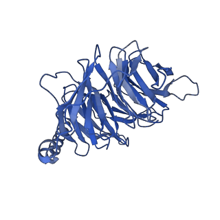 30974_7e32_B_v1-1
Serotonin 1D (5-HT1D) receptor-Gi protein complex