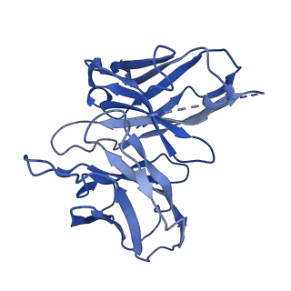 30974_7e32_E_v1-1
Serotonin 1D (5-HT1D) receptor-Gi protein complex