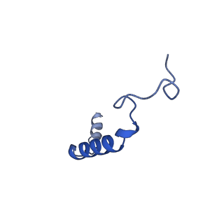 30974_7e32_G_v1-1
Serotonin 1D (5-HT1D) receptor-Gi protein complex
