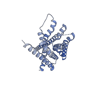 30974_7e32_R_v1-1
Serotonin 1D (5-HT1D) receptor-Gi protein complex