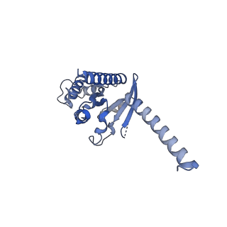 30975_7e33_A_v1-1
Serotonin 1E (5-HT1E) receptor-Gi protein complex