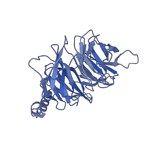 30975_7e33_B_v1-1
Serotonin 1E (5-HT1E) receptor-Gi protein complex