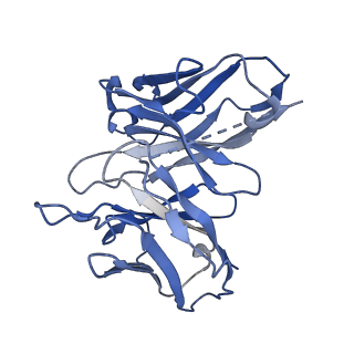 30975_7e33_E_v1-1
Serotonin 1E (5-HT1E) receptor-Gi protein complex