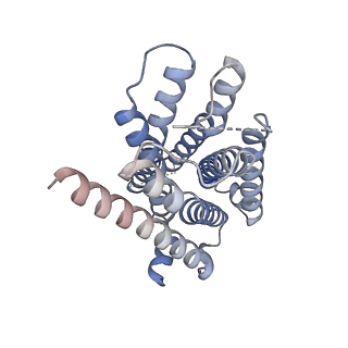 30975_7e33_R_v1-1
Serotonin 1E (5-HT1E) receptor-Gi protein complex