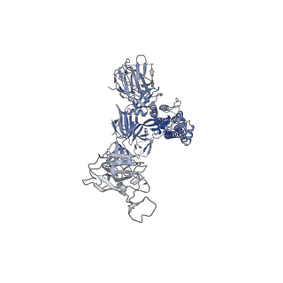 30982_7e3k_B_v1-1
Ultrapotent SARS-CoV-2 neutralizing antibodies with protective efficacy against newly emerged mutational variants