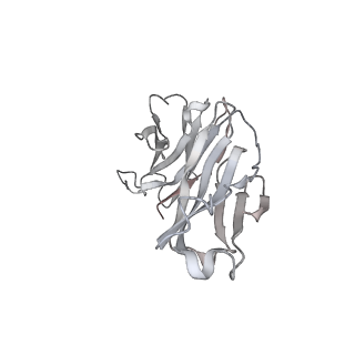 30982_7e3k_H_v1-1
Ultrapotent SARS-CoV-2 neutralizing antibodies with protective efficacy against newly emerged mutational variants