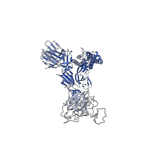 30983_7e3l_C_v1-1
Ultrapotent SARS-CoV-2 neutralizing antibodies with protective efficacy against newly emerged mutational variants
