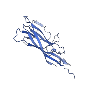 8972_6e30_A2_v2-1
Mechanism of cellular recognition by PCV2