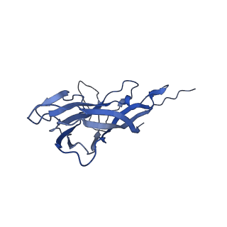 8972_6e30_A3_v2-1
Mechanism of cellular recognition by PCV2