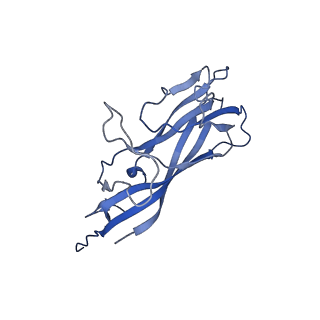 8972_6e30_AC_v2-1
Mechanism of cellular recognition by PCV2