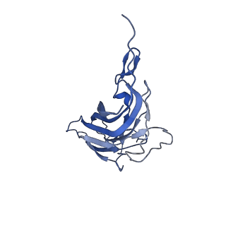 8972_6e30_AE_v2-1
Mechanism of cellular recognition by PCV2