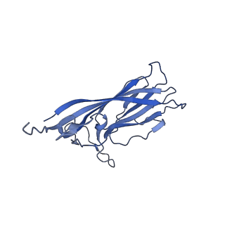 8972_6e30_AO_v2-1
Mechanism of cellular recognition by PCV2