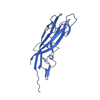 8972_6e30_AP_v2-1
Mechanism of cellular recognition by PCV2